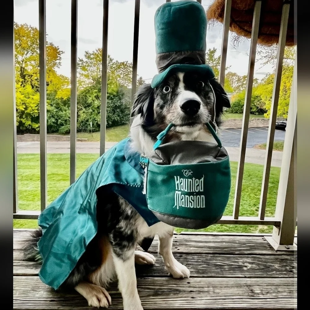 Disney Haunted Mansion Costume/Toy Set